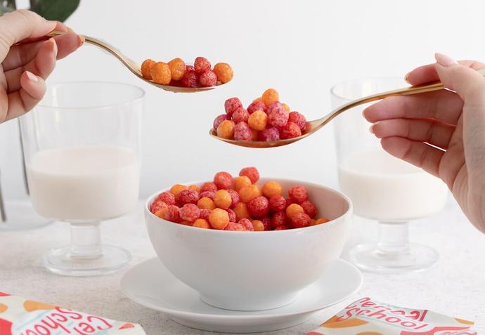 Sugar-Free Snacks: 6 Sweet and Savory Treats Without the Guilt